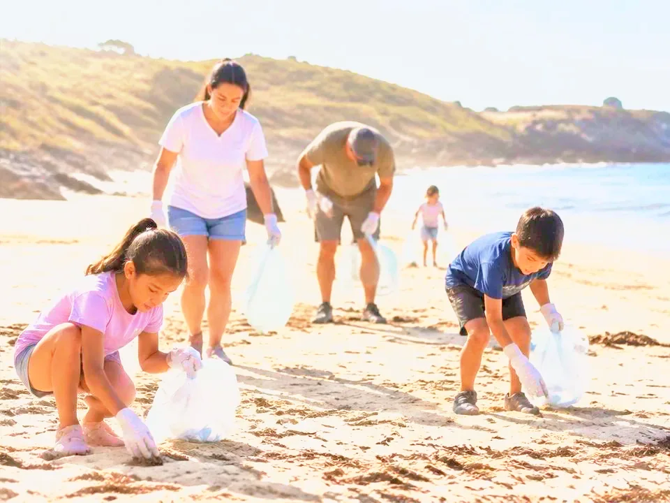 Illustration of Community Beach Clean at Manly Beach